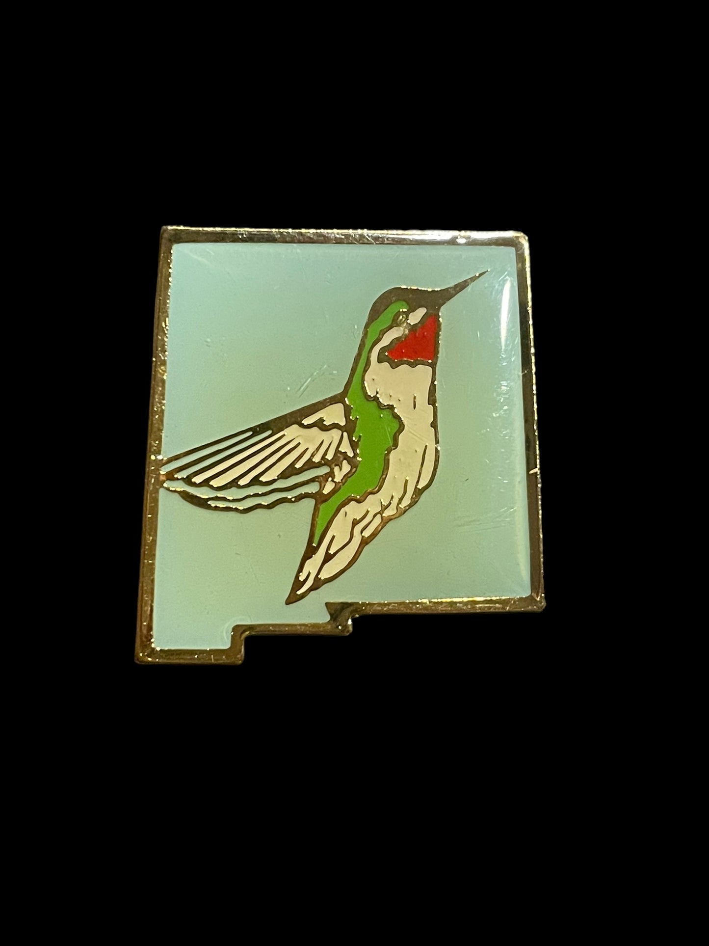 Vintage New Mexico Hummingbird Enamel Brooch Pin