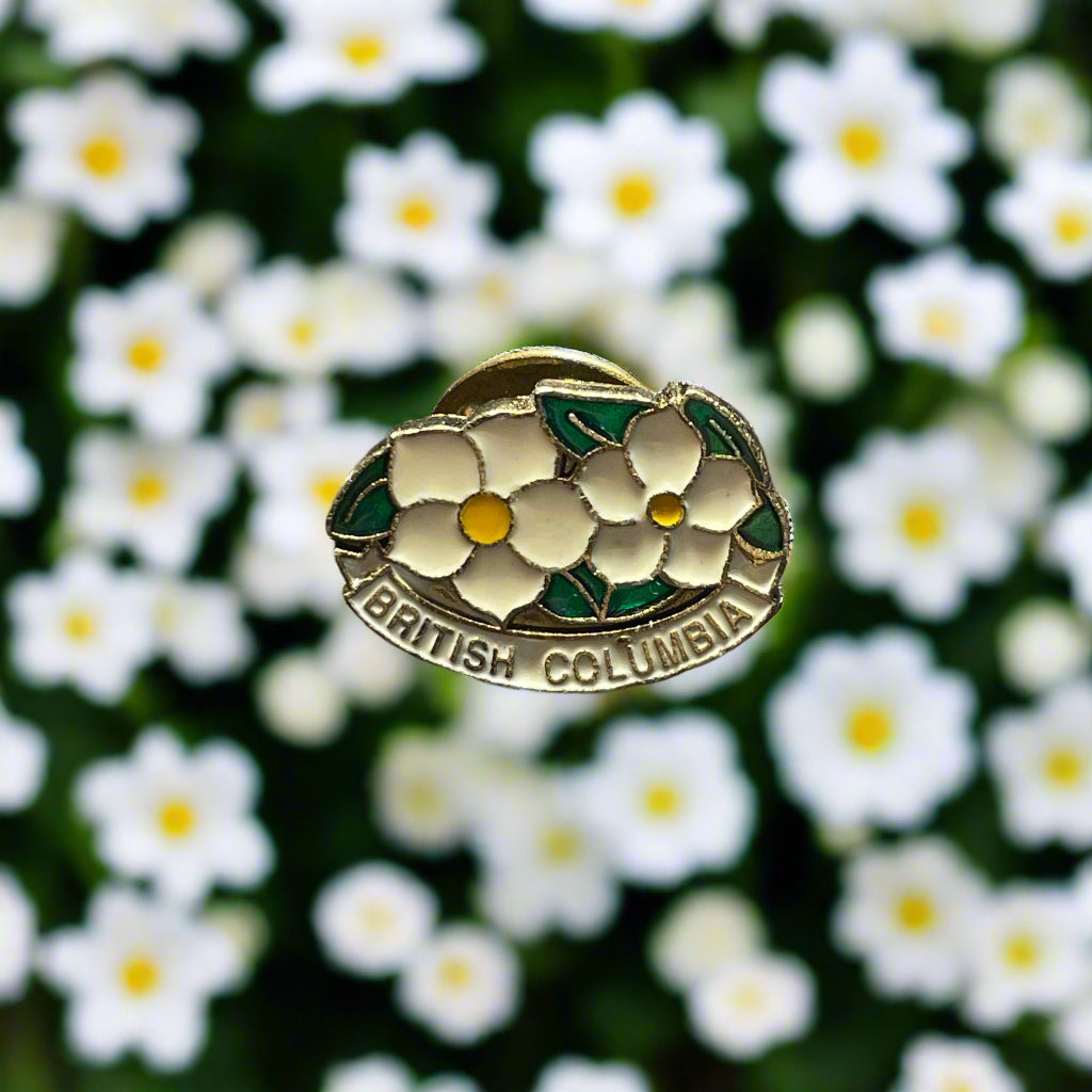 British Columbia Canada Daisy Flower Dogwood Enameled Brooch Pin Vintage