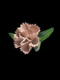 Pink Carnation Flower Porcelain Brooch