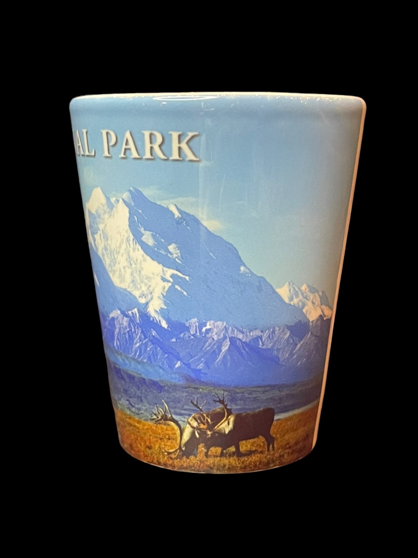 Denali National Park Shot Glass