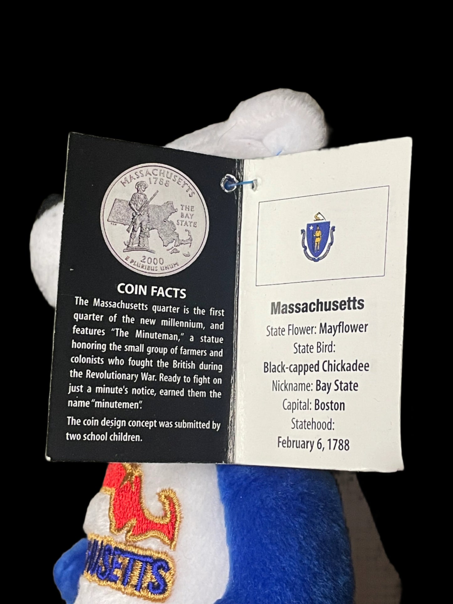 2000 Limited Treasures Massachusetts State Quarter Coin Bean Bear Plush