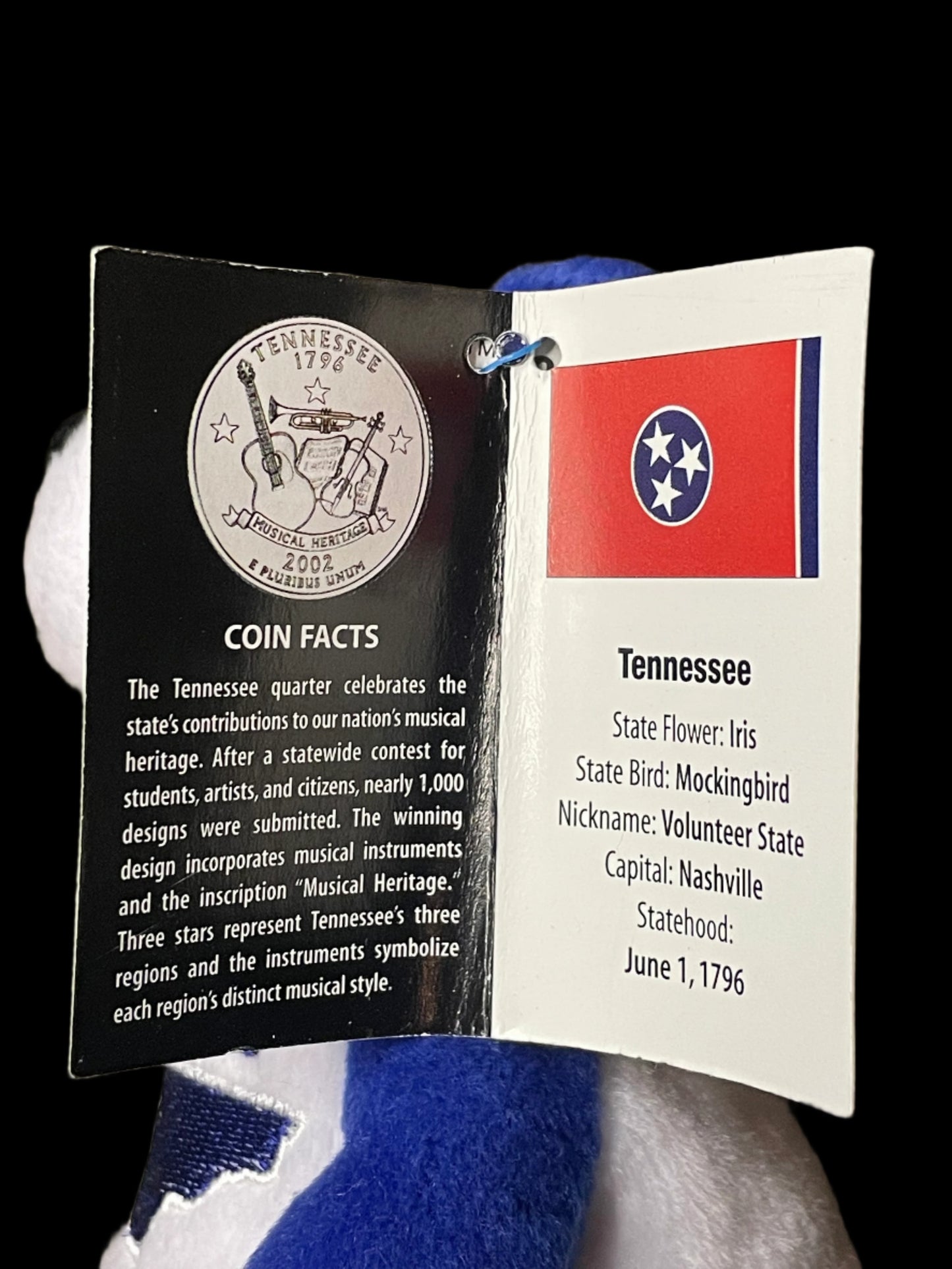 2002 Limited Treasures Tennessee State Quarter Coin Bean Bear Plush