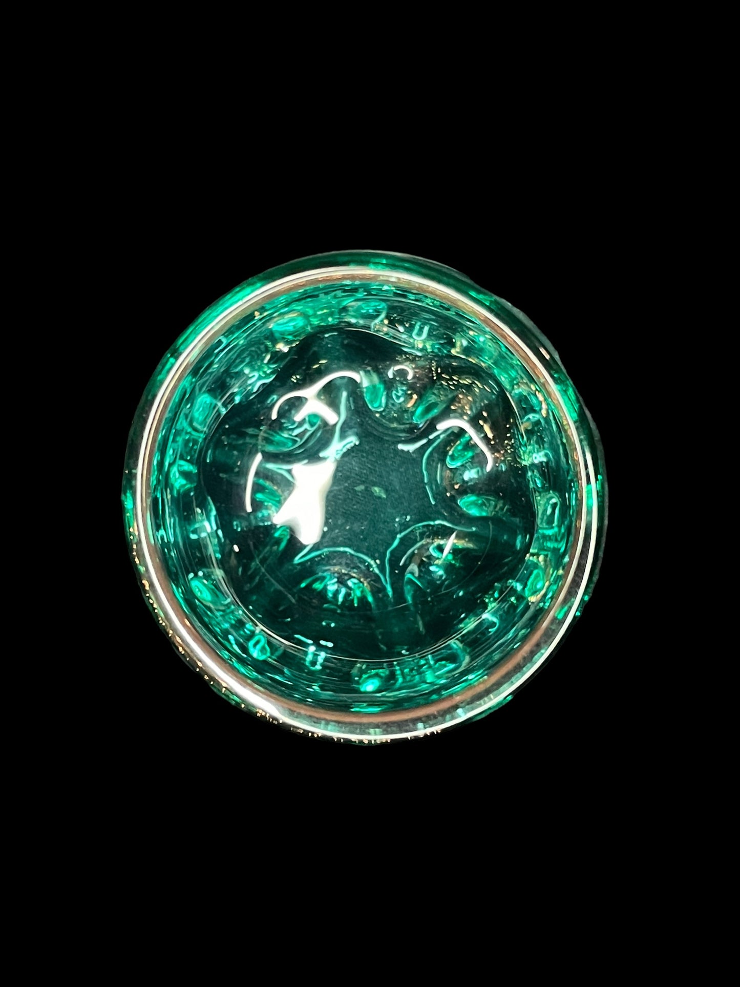 Catalina Island Dolphins Shot Glass