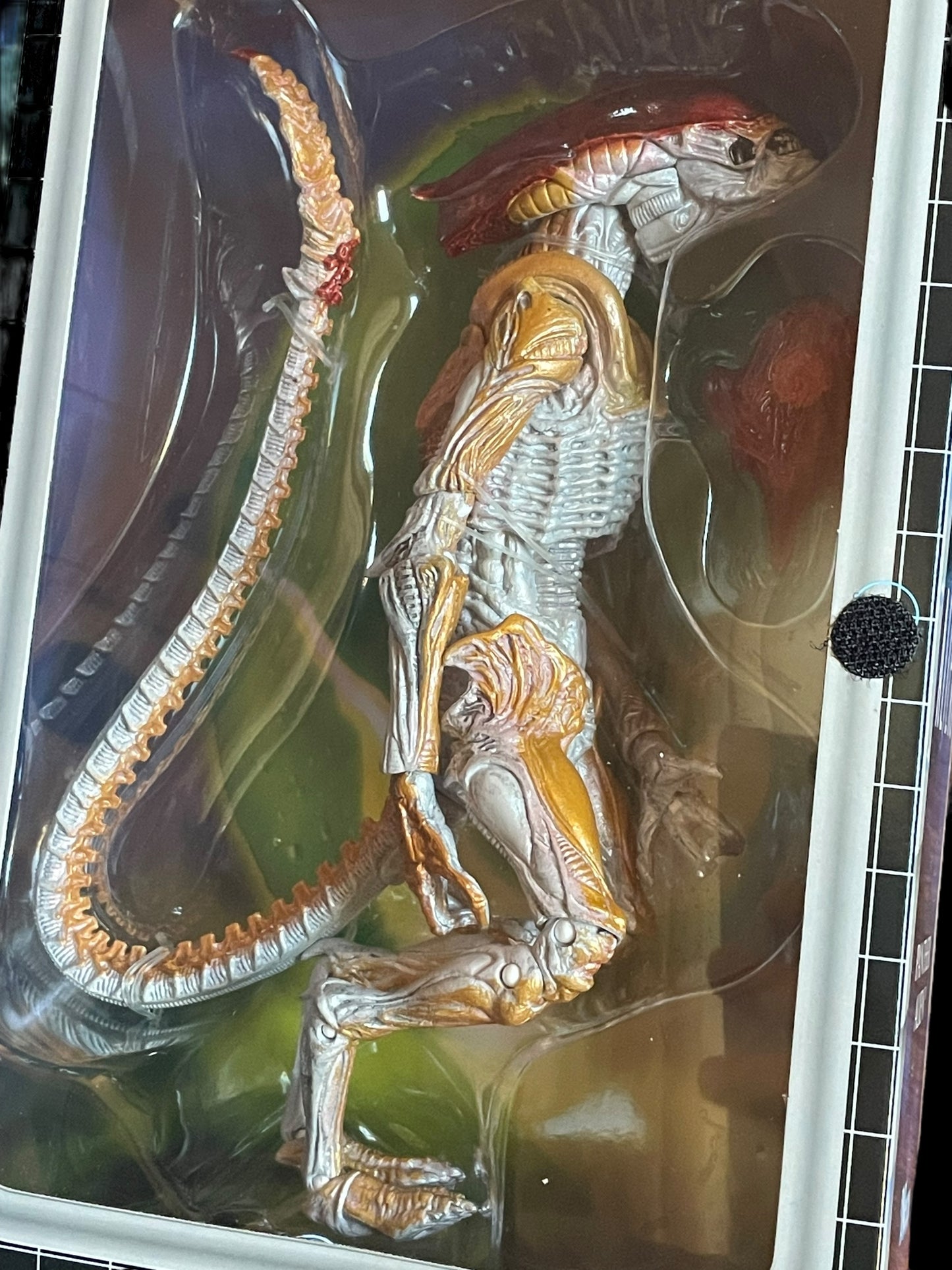 NECA Aliens Panther Alien Action Figure New