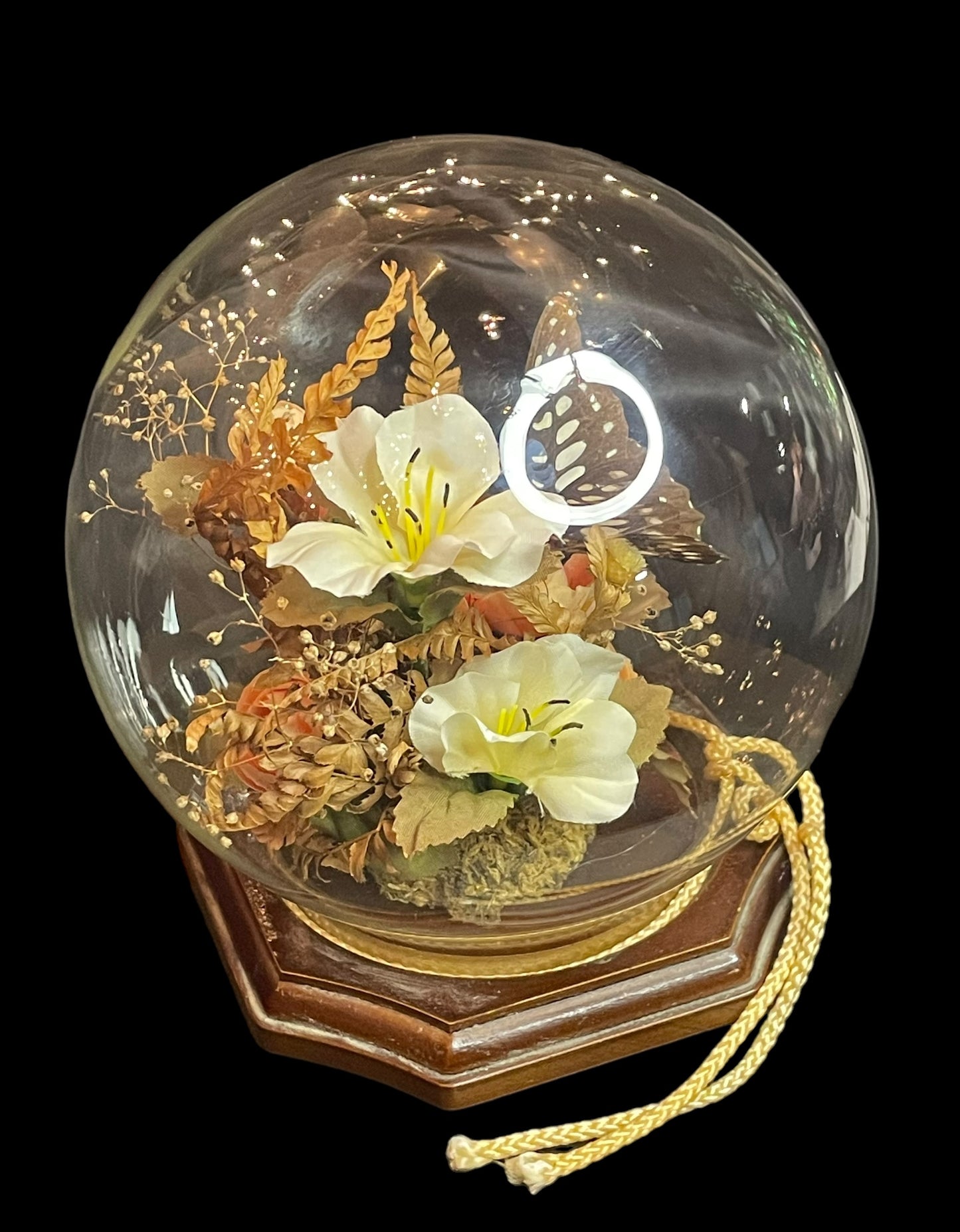 Vintage Butterfly Taxidermy Terrarium Glass Globe Wooden Base