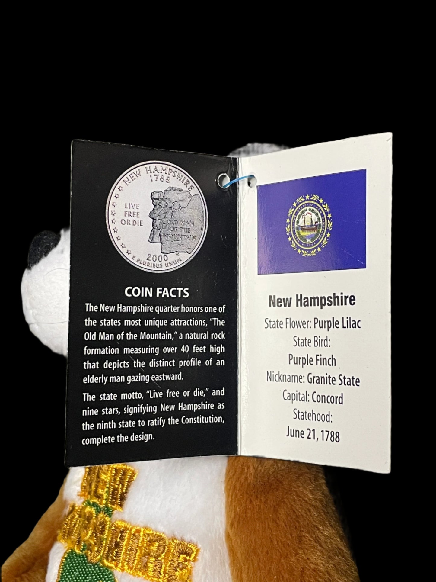 2000 Limited Treasures New Hampshire State Quarter Coin Bean Bear Plush