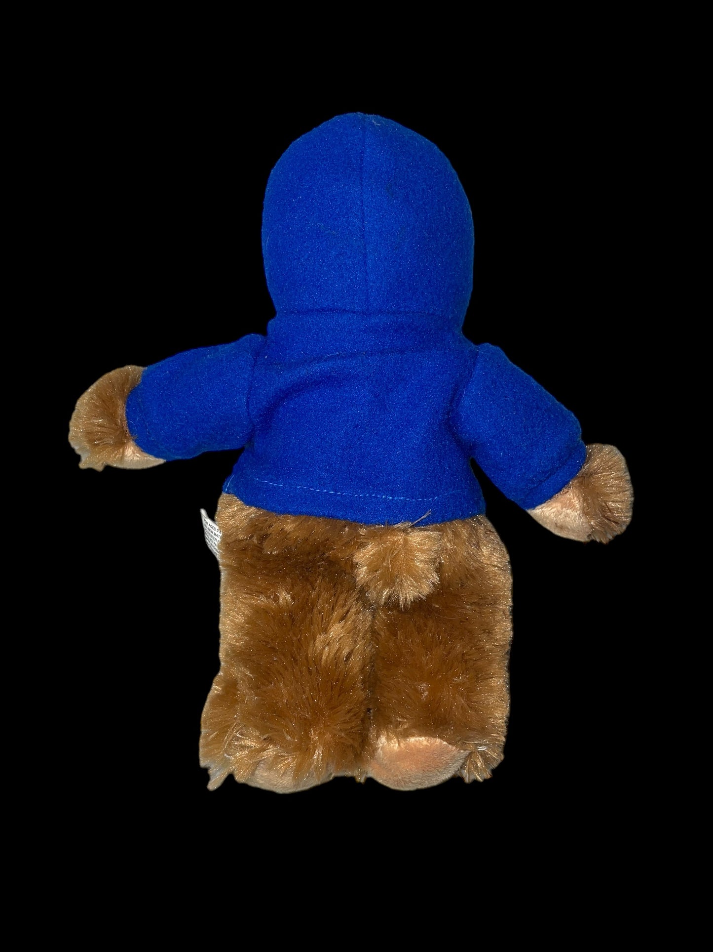 2006 NBA Detroit Pistons 8" Shaggy Teddy Bear Plush in Hoodie