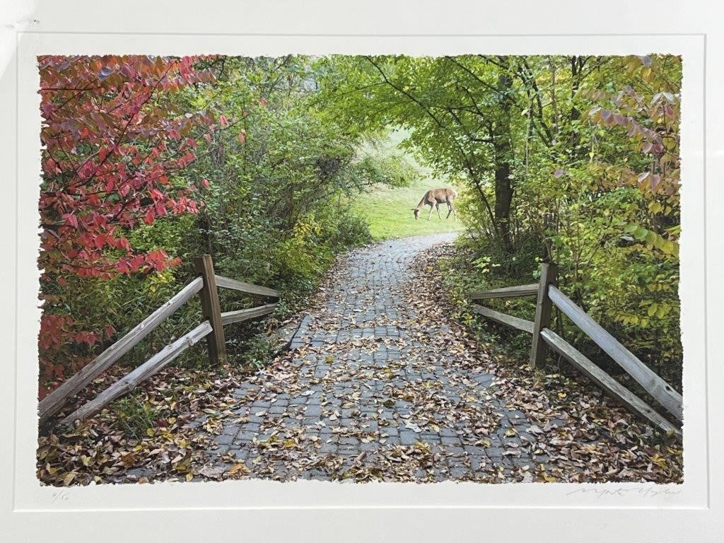 Monte Nagler "Deer in the Woods" Limited Print