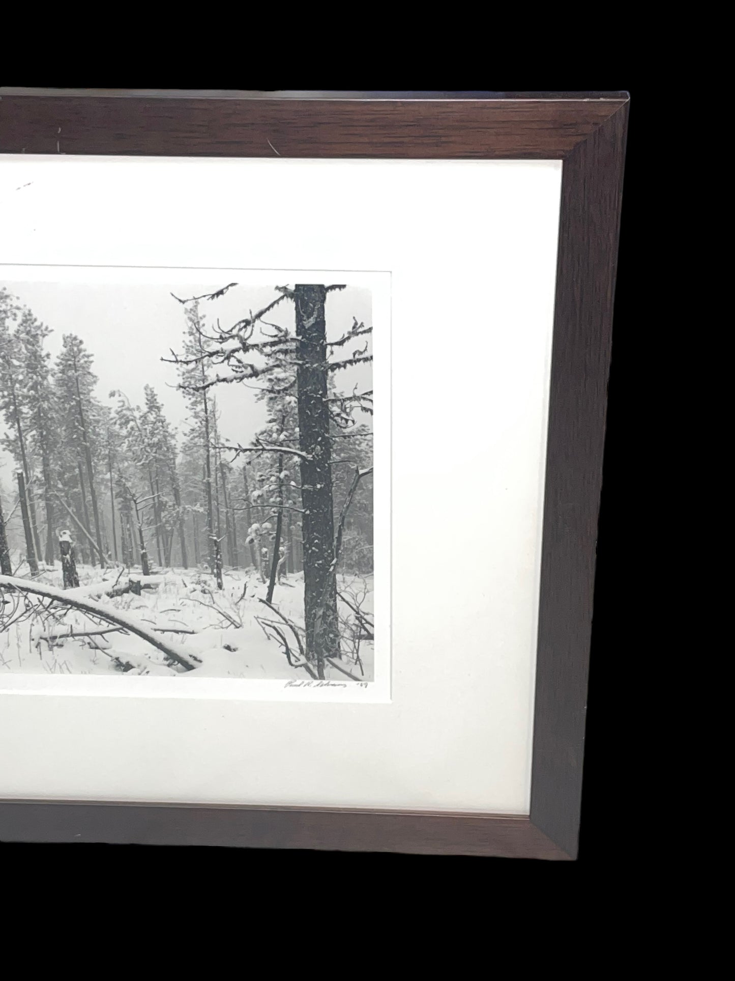 1989 Paul Schrantz Black Hills Storm Framed Photograph