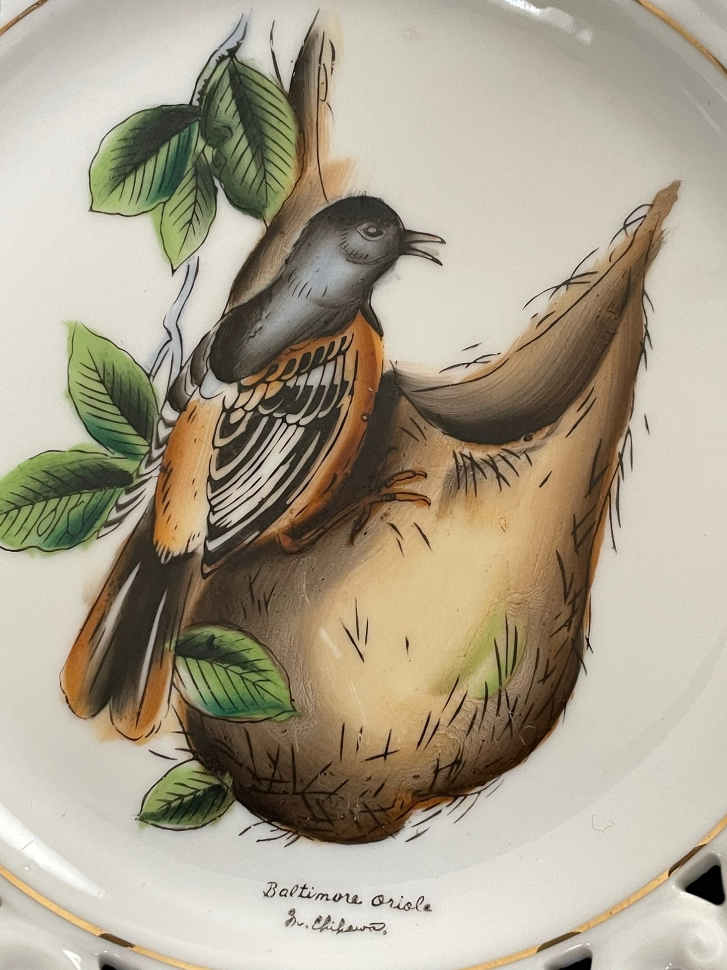 Baltimore Oriole Bird Hand-Painted Plate