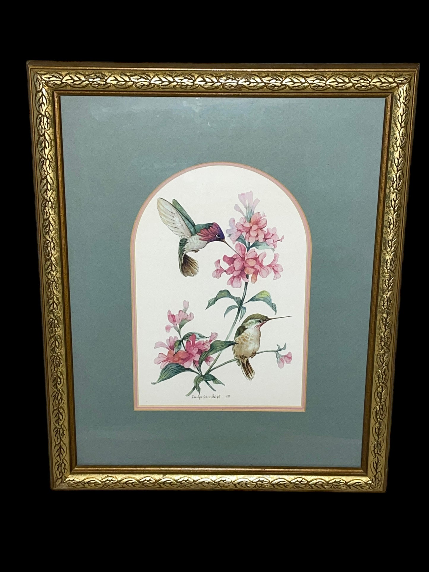 Vintage Hummingbird Prints by Carolyn Shores Wright