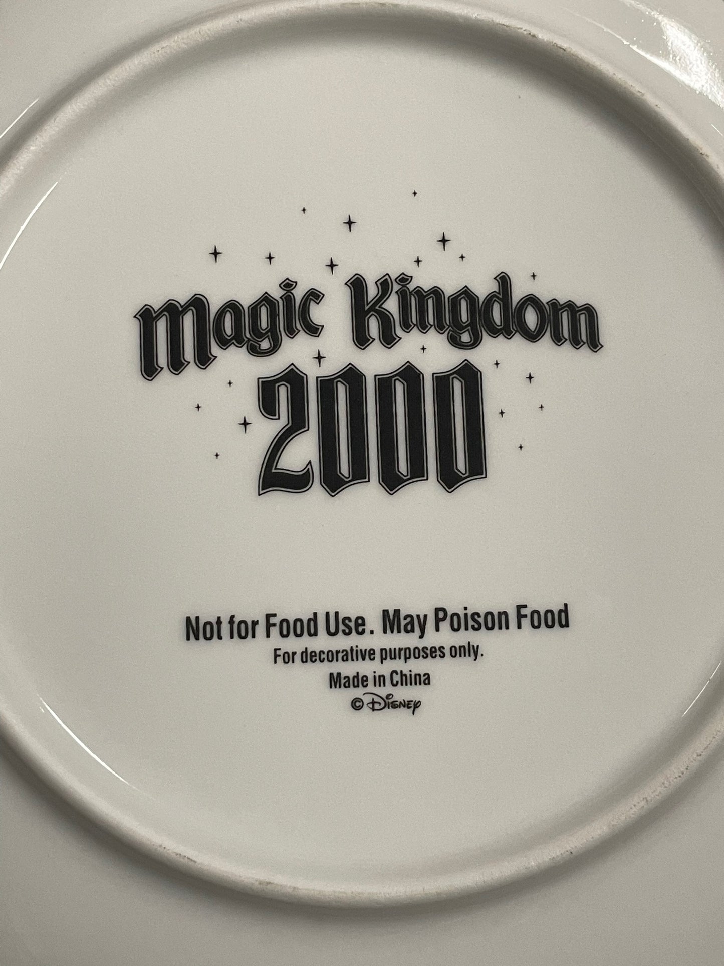 Disney Magic Kingdom 2000 Decorative Plate