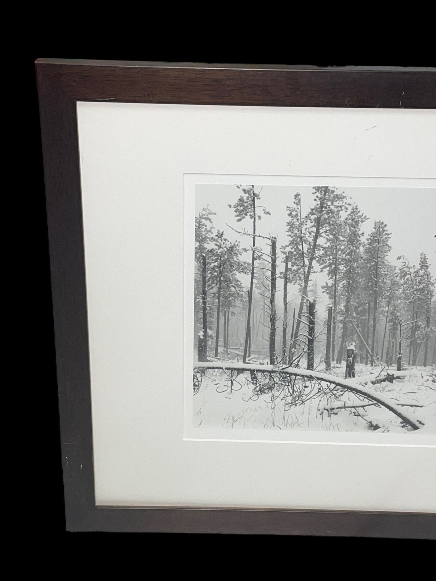 1989 Paul Schrantz Black Hills Storm Framed Photograph