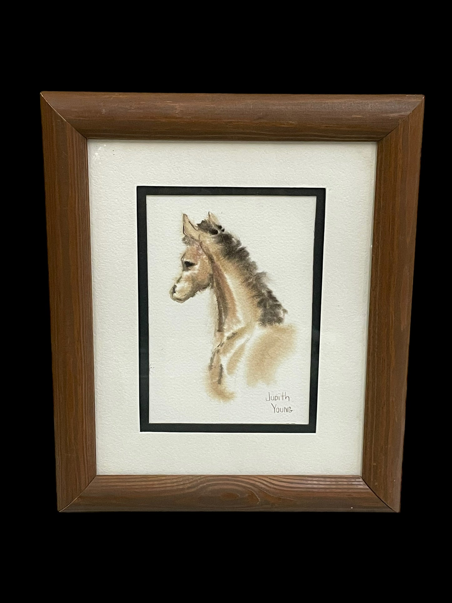 Watercolor Artwork of a Horse by Judith Young