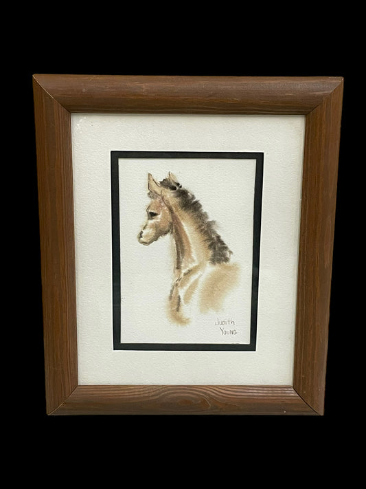 Watercolor Artwork of a Horse by Judith Young