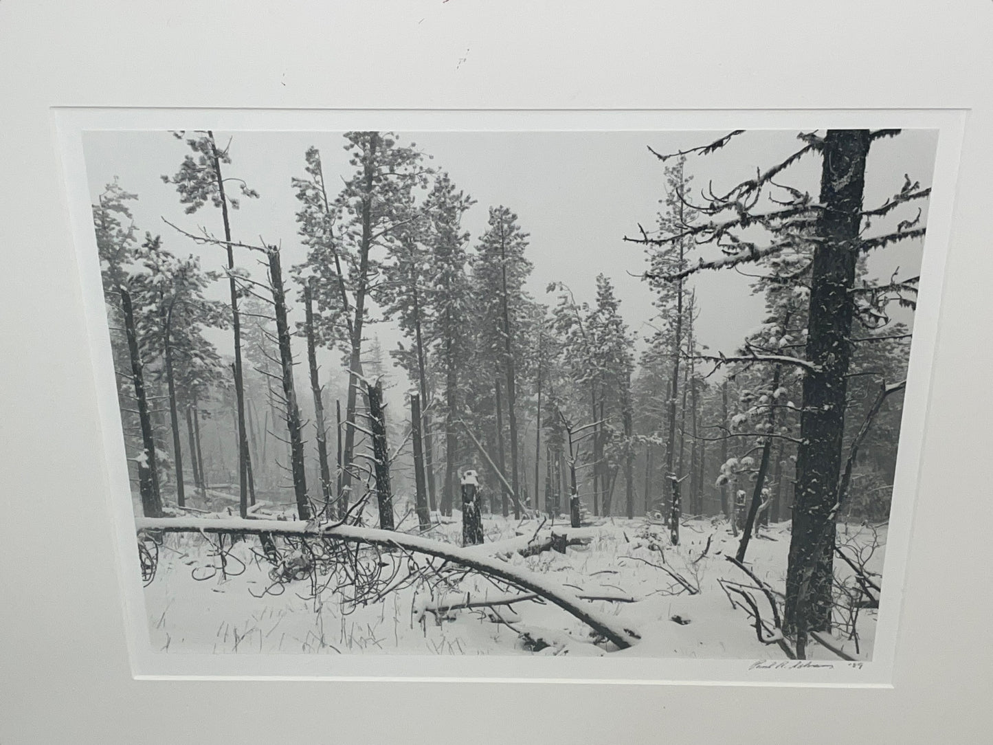 1989 Paul Schrantz Black Hills Storm Framed Photograph