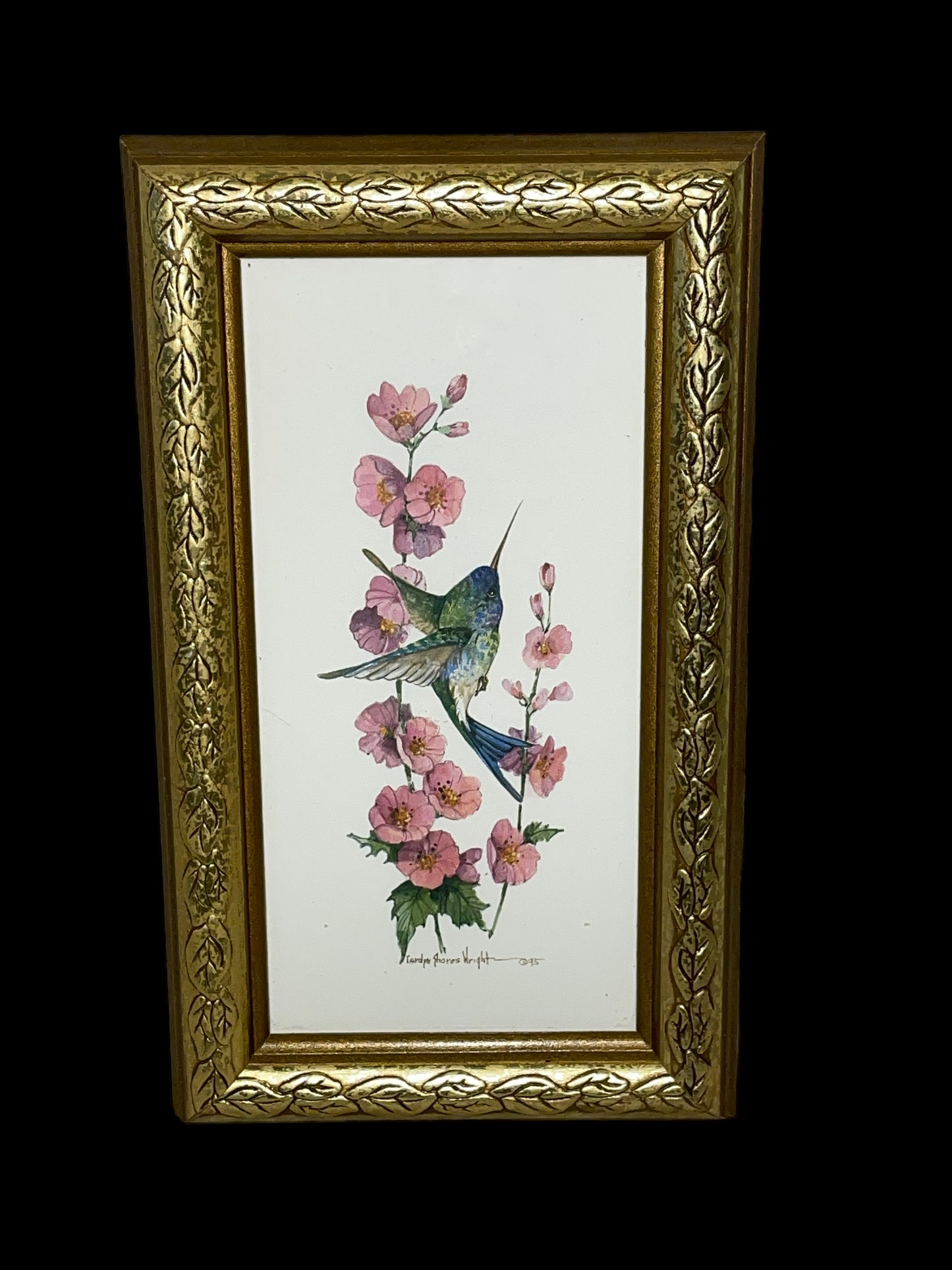 Vintage Hummingbird Prints by Carolyn Shores Wright