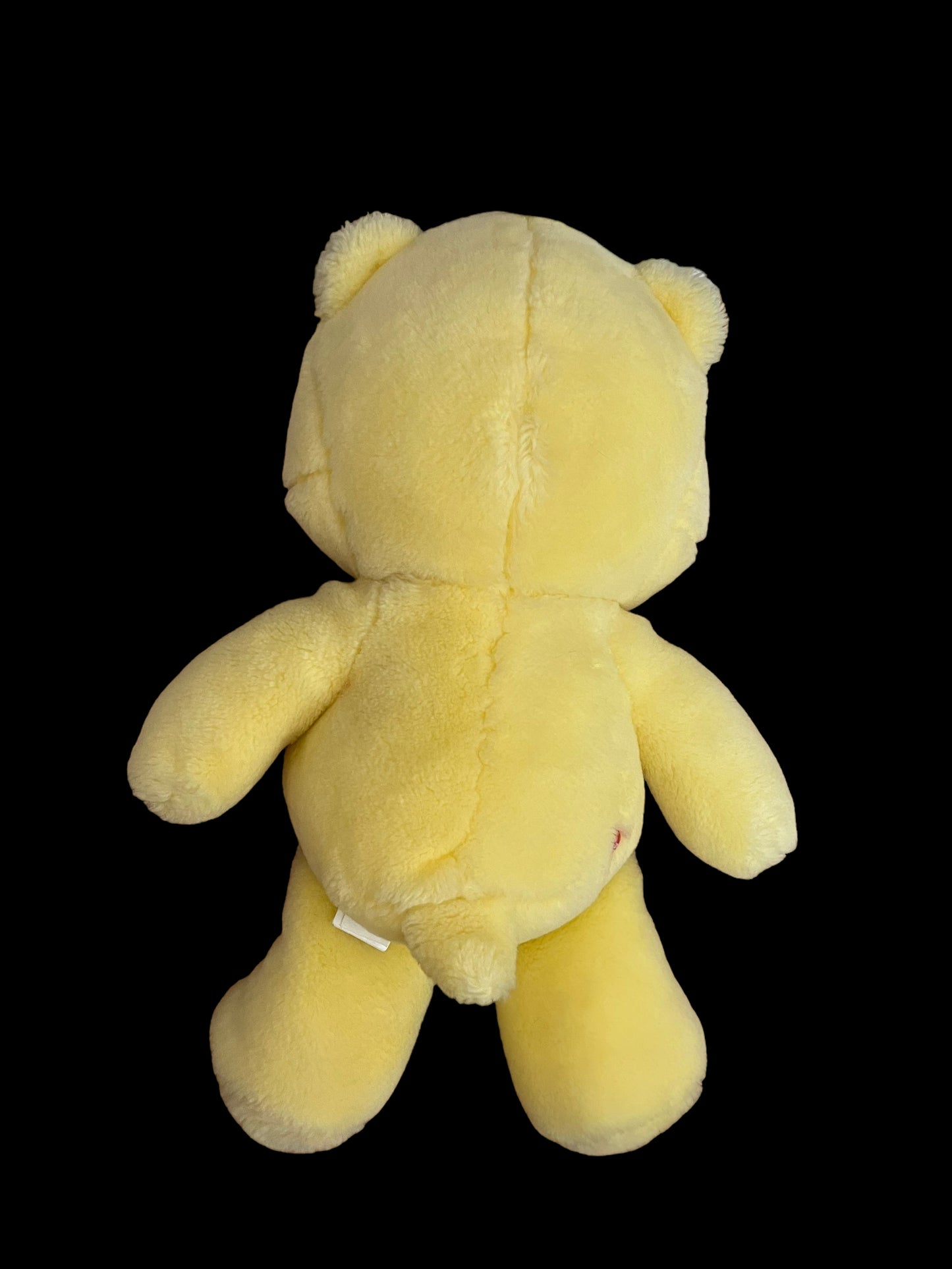 2002 Funshine Care Bear Plush