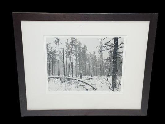 1989 Paul Schrantz Black Hills Storm Framed Photograph