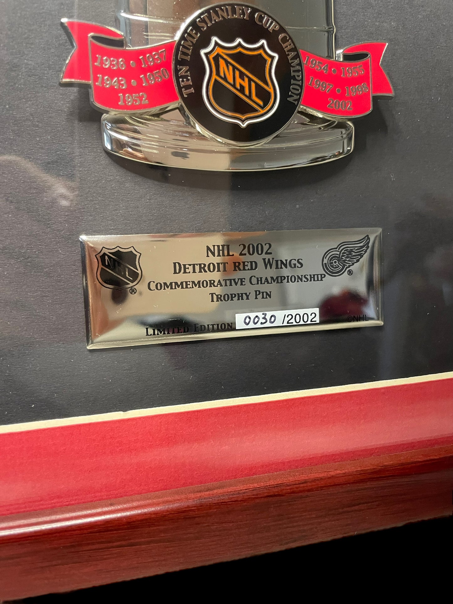 Limited Edition Framed NHL 2002 Detroit Red Wings Commemorative Championship Trophy Pin