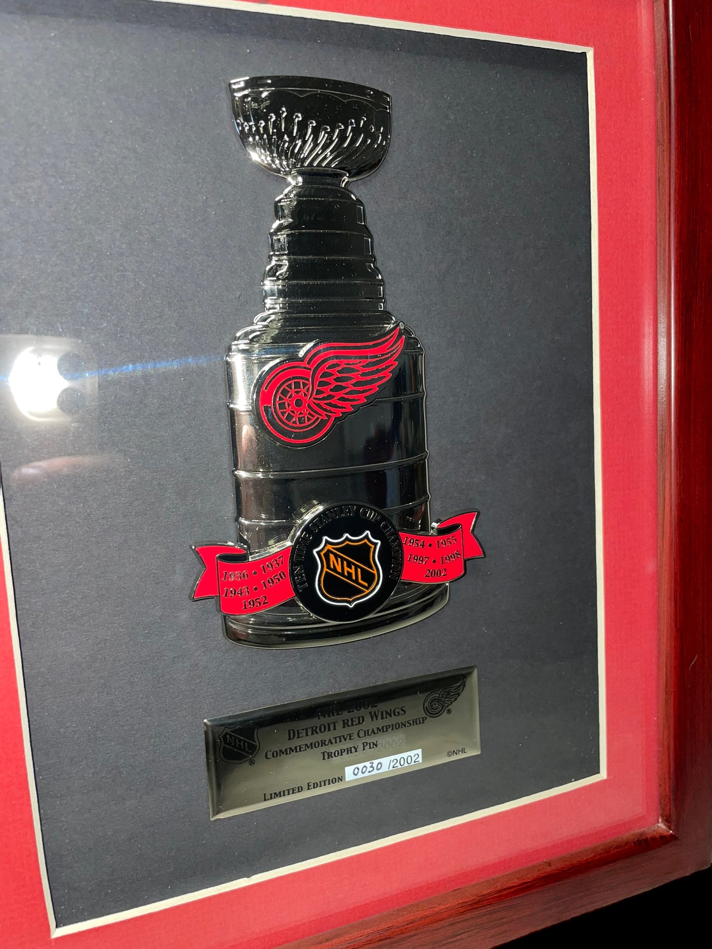 Limited Edition Framed NHL 2002 Detroit Red Wings Commemorative Championship Trophy Pin