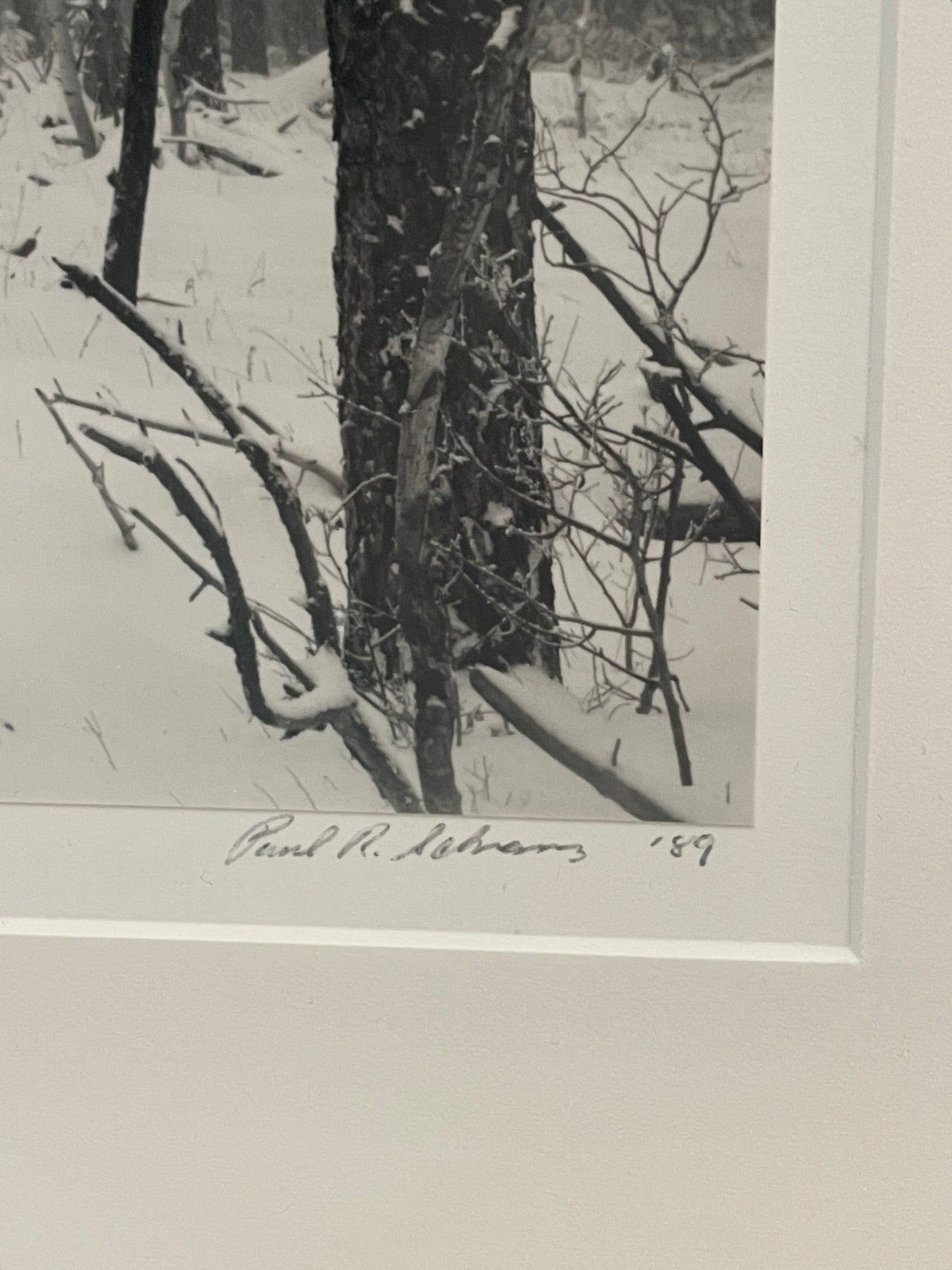 1989 Paul Schrantz Black Hills Storm Framed Photograph