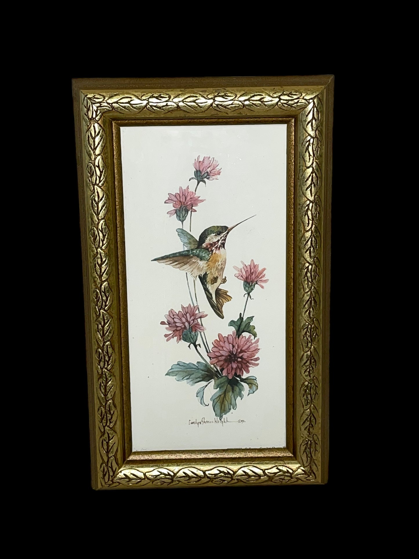 Vintage Hummingbird Prints by Carolyn Shores Wright