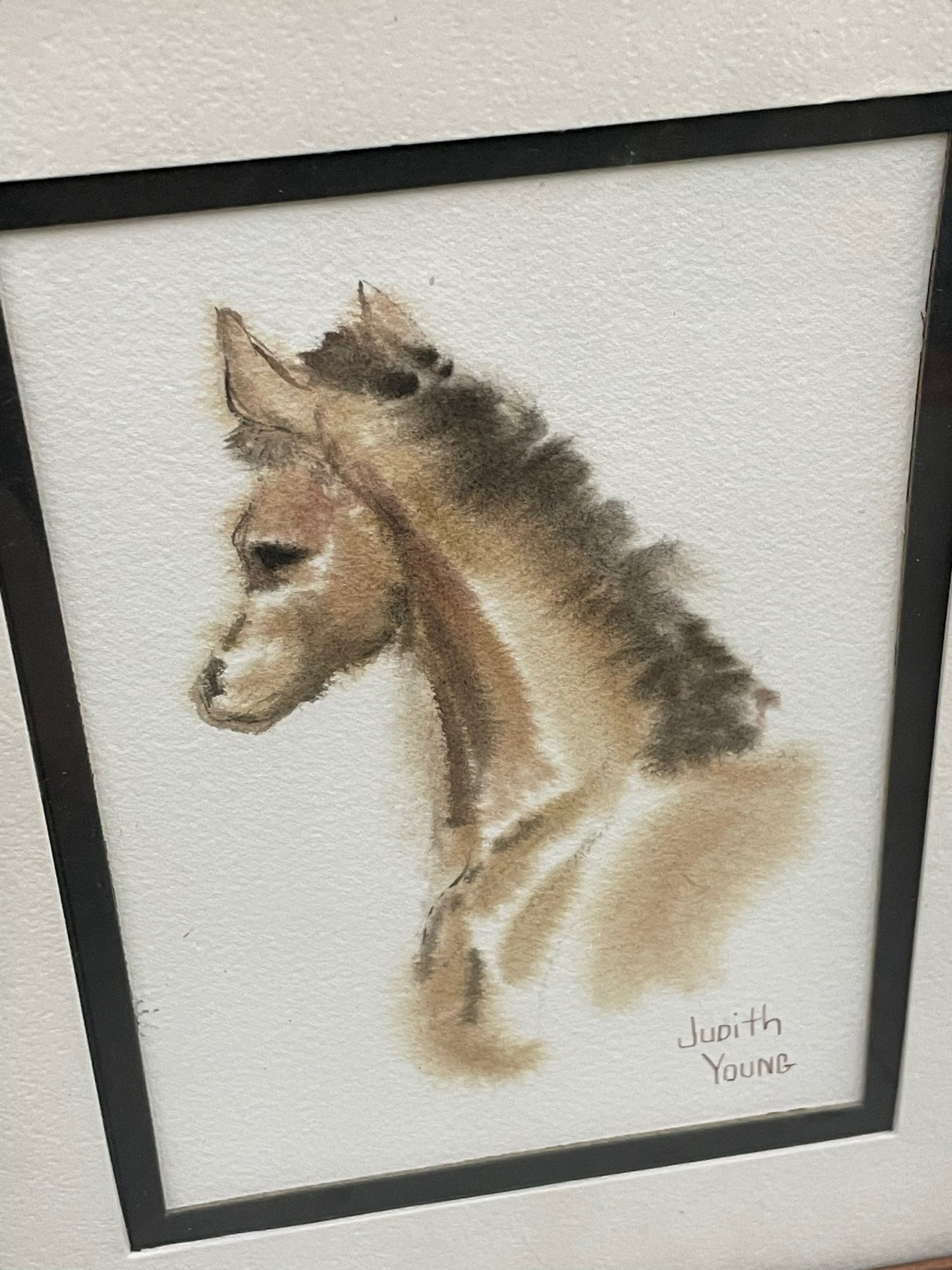 Watercolor Artwork of a Horse by Judith Young