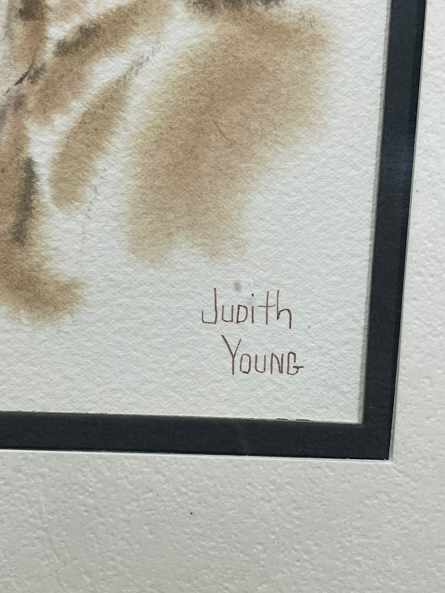 Watercolor Artwork of a Horse by Judith Young