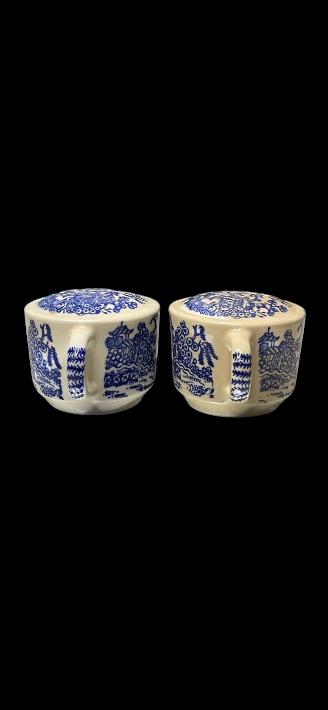 Beautiful Antique Blue Willow Salt and Pepper Shakers with Corks