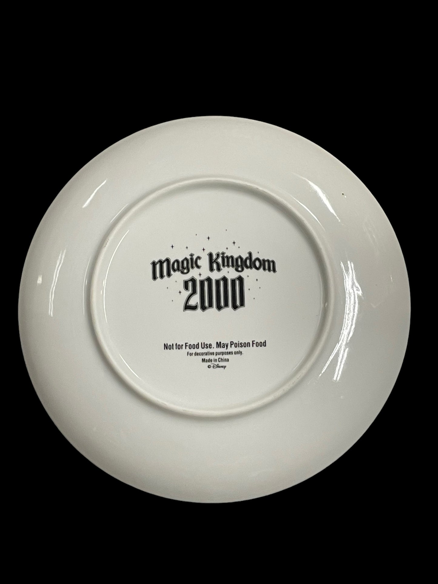 Disney Magic Kingdom 2000 Decorative Plate