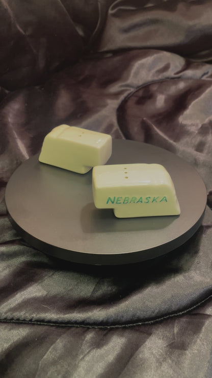 Pair of Vintage Glass Nebraska Salt and Pepper Shakers